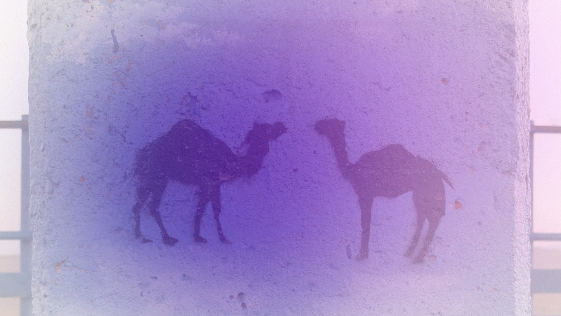 Foto von einem Graffiti mit zwei Kamelen, die sich begegnen, in der Wüste in Mitzpe Ramon, Israel